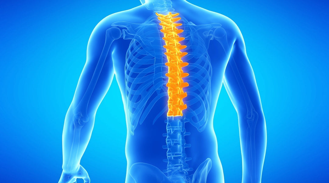 Module 6. Thoracic Rehabilitation & Case Management