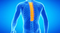 Module 6. Thoracic Rehabilitation & Case Management