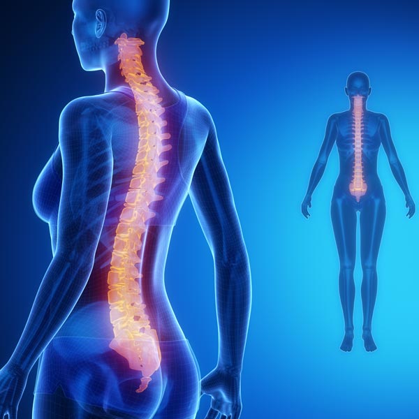 June 27, 2024: Module 13. CBP® Biomechanics of the Spine & Posture