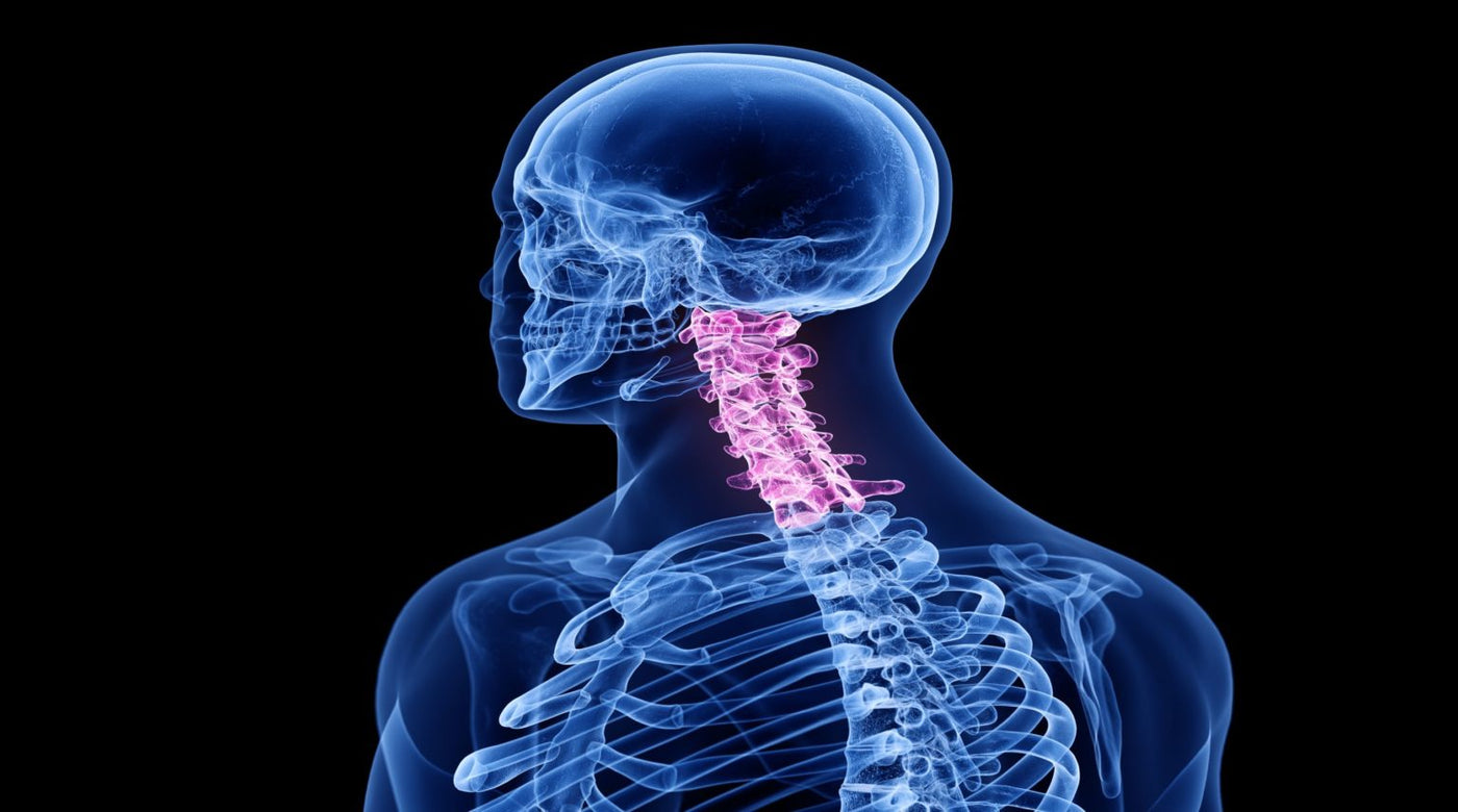 Module 4. Structural Rehabilitation of the Cervical Spine